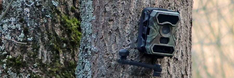 Wildkamera Fotofalle Jagdkamera Online Kaufen Auf Livingactive De