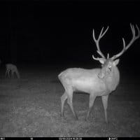 SEISSIGER Pro-Cam LTE SUPERSIM-Edition Wildkamera