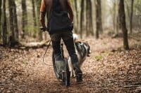 Pinewood Dog Sports 2.0 Weste Black/D.Anthracite Anwendung 2