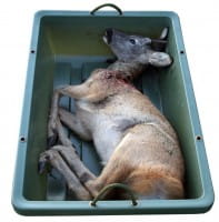 Eurohunt Allzweck- und Wildwanne im Einsatz