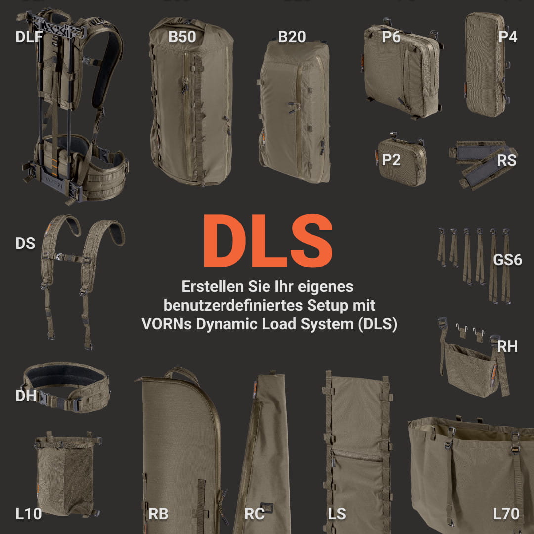 Vorn DLS System