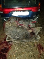 Heckträger Korb verzinkt, mit Schnellkupplung im Einsatz