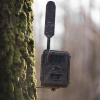 SEISSIGER Special Cam&nbsp;LTE&nbsp;SUPERSIM-Edition Wildkamera