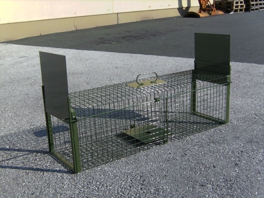 DAUTH Drahtkastenfalle mit zwei Falltüren