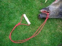 Bergehilfe Buck Im Einsatz