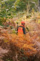 Blaser Striker DH Weste Driven Orange Imagebild 4