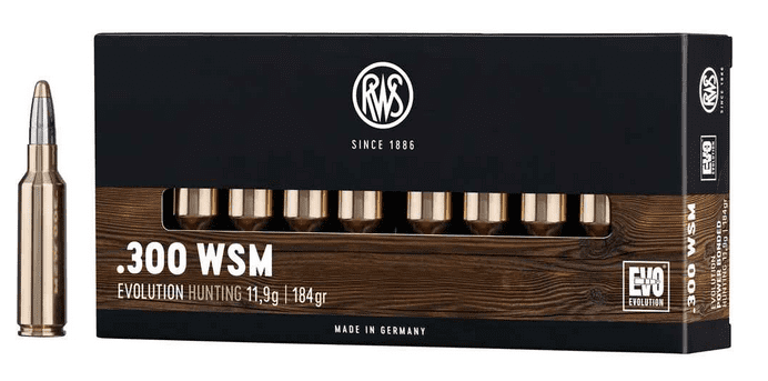 RWS .300 WSM EVO 184gr. - 20 Stk