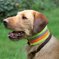 AKAH Hundehalsband reflektierend