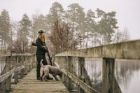 Pinewood Nydala Wolljacke Damen Anwendung 2