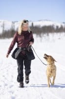 Pinewood Dog Sports Utility G&uuml;rtel Black/D.Anthracite Anwendung 1