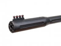 Diana twenty-one FBB inkl. ZF 4x32 Laufm&uuml;ndung in Silencer-Optik