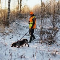 Swedteam Protect M Hundef&uuml;hrer Weste Orange