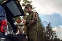 H&auml;rkila Driven Hunt Insulated Weste Outdoor Dog