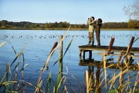 Swarovski SLC 8x56 W B Imagebild 1