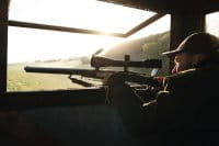 Swarovski Z8i 1,7-13,3x42 P Imagebild 1