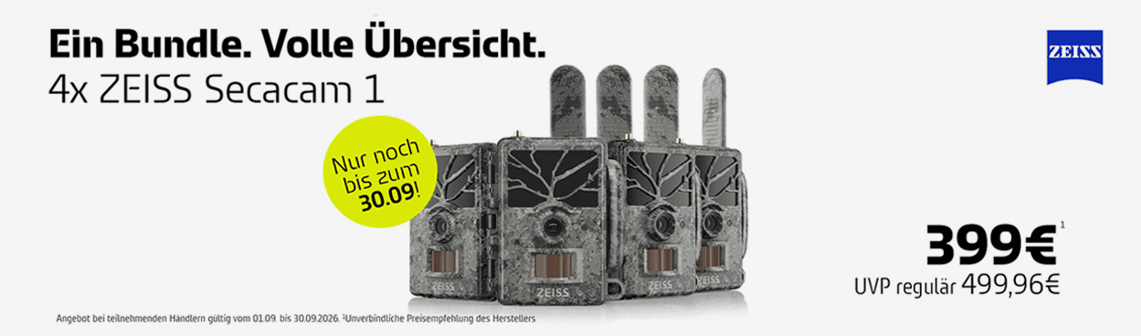 Ein Bundle, volle Übersicht!