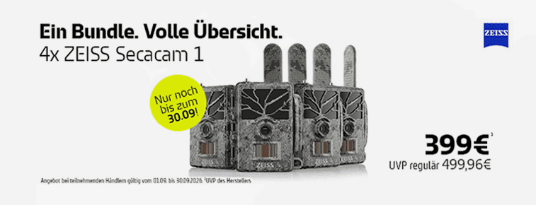 Ein Bundle, volle Übersicht!