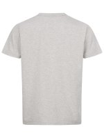 Blaser Allg&auml;u Mountain T-Shirt Herren grau R&uuml;ckseite