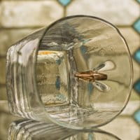 KolbergGlas Whiskyglas mit Projektil Detail 3