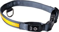 Blaser LED Hundehalsband
