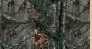 Realtree Xtra
