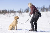 Pinewood Dog Sports Utility G&uuml;rtel Black/D.Anthracite Anwendung 3