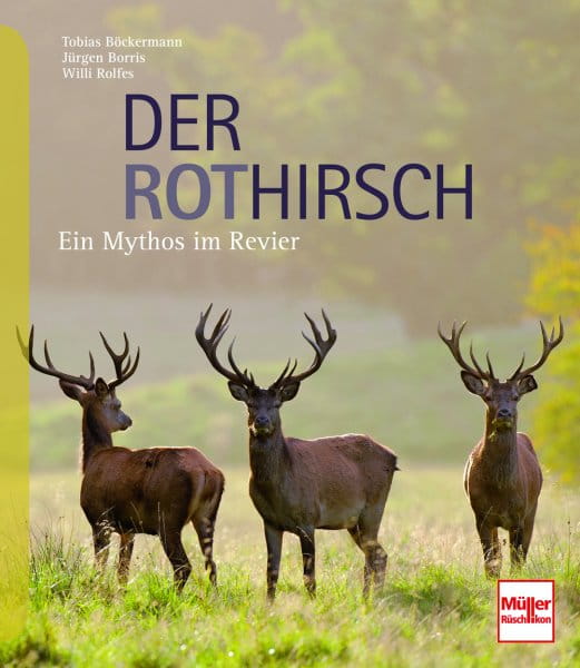 Der Rothirsch: Ein Mythos im Revier