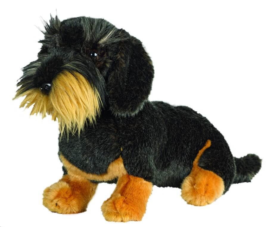 AKAH Rauhaardackel "Schnauz"