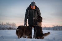 Pinewood Fleecekragen AP Blaze/ H.Green Anwendung 3