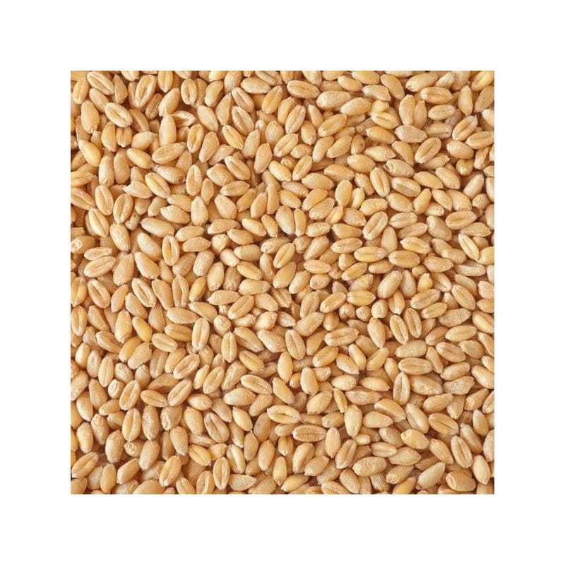 Getreide Speicher Bio Weizen 7,5 kg