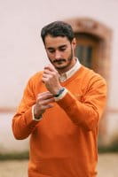 Blaser Merino V-Neck Sweater Herren Rost Imagebild