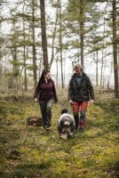 Pinewood Hurricane Strickpullover Damen Dunkel Burgund Melange Anwendung 2