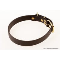 R&uuml;demeister - verstellbare Halsung Premium BioThane 25 mm