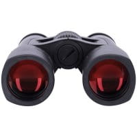 ZEISS Victory RF 10x42 vorne