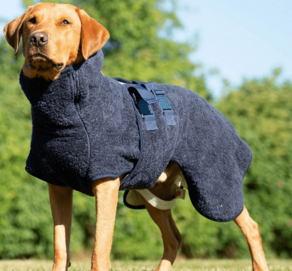 Serviette pour chien manteau en coton avec fermeture scratch 100
