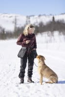 Pinewood Dog Sports Utility G&uuml;rtel Black/D.Anthracite Anwendung 2