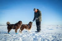 Pinewood Fleecekragen AP Blaze/ H.Green Anwendung 1