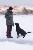 Pinewood New St&ouml;ten Strickm&uuml;tze Schwarz Anwendung 3