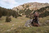 Deerhunter Heat Weste Imagebild 1