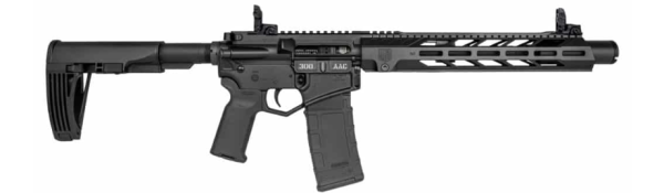 Diamondback DB15P300DS10B10 Selbstladebuchse Kal .300 Blackout 10 Zoll kaufen LivingActive