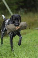 Blaser Hundedecke Universaldecke mit Tasche Hund 1