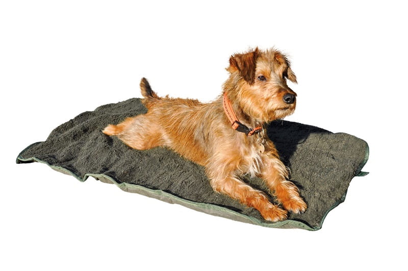 hunter halsband biothane BioThane® Hundehalsband | Modell 