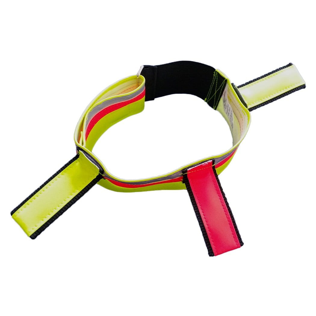 Fritzmann Hundesignalhalsband